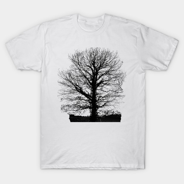 Tree in wintertime in black and white. T-Shirt by robelf